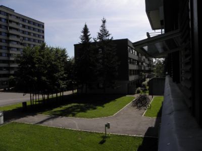 the view from our window