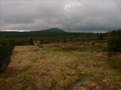 ŠUMAVA - rašeliniště Jezerní slať