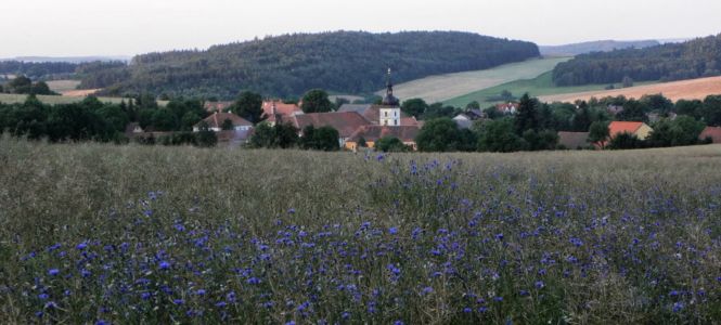 Chudenice