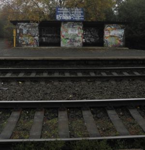 ze Strašnic
