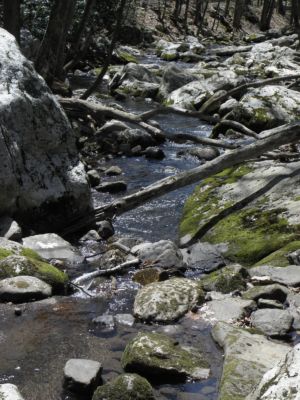 Little Stony Creek