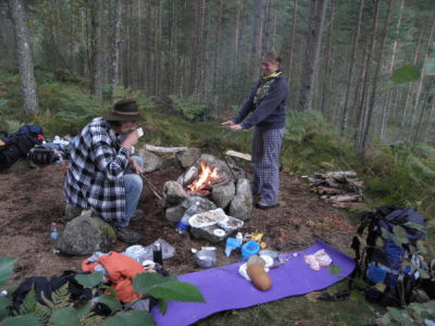 evening in the forest