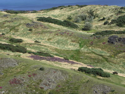 real part of scottish highland