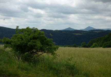 i Milešovka
