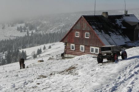 "užitečný kůň" na Varclovně