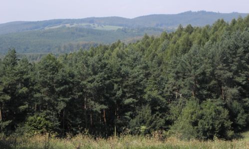 Chřiby