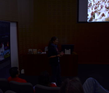 during my talk