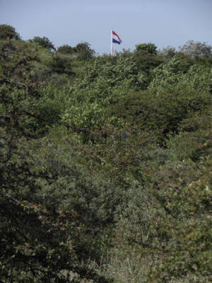 Zuid-Kennemerland National Park