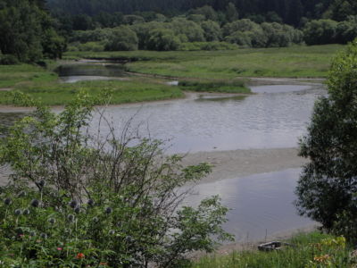 meandrující Chrudimka