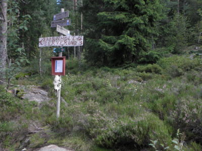 which way to go?