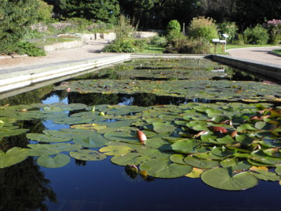 the botanical garden of Natural-History Museum in Tøyen