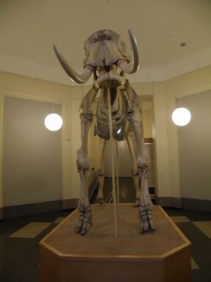 inside