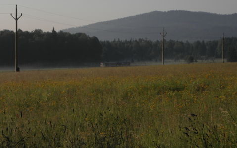 místní lokálka