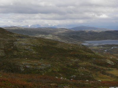 view on a big glacier on the horizont