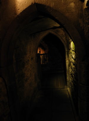cellars