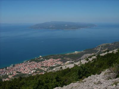 Brač