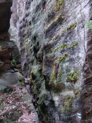 přiostřuje