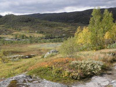 colours of nature in September.....