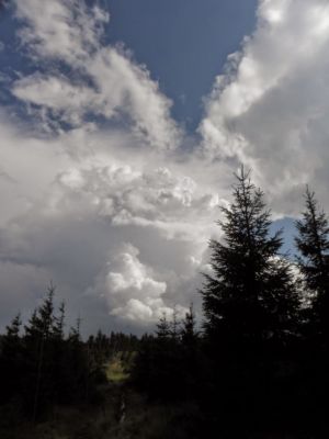 místo výstupu na vrchol Smrku, volíme radši ústup....