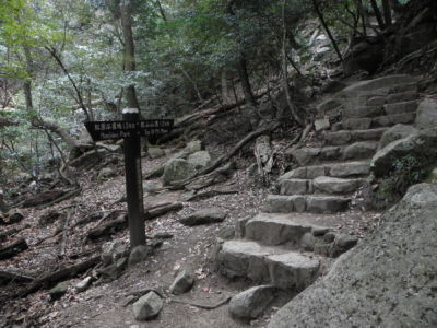 za půlkou strmého vstoupání! (Mt. Misen)