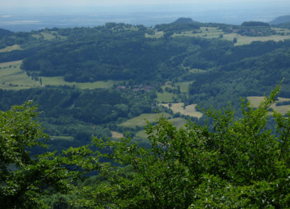 Týniště