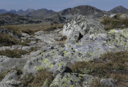 na vrchu Kovach (2634 m.n.m.)