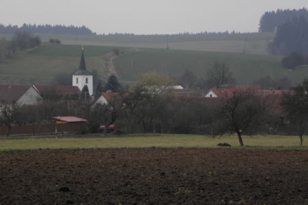 ráno v Borech