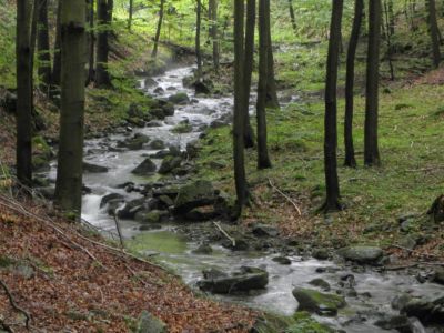 údolím Stříbrného potoka