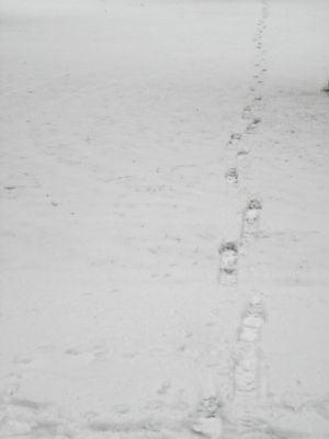 the beginning of real winter