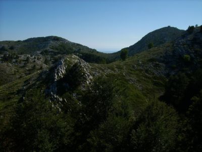 127-IMG 0461