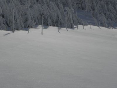 zapadaná tyčovka na Friesovky