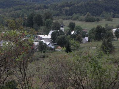 Runina