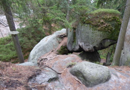 Useknutá hlava