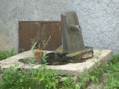 siesta