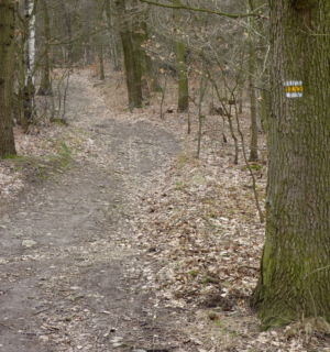 po žluté na vrchol