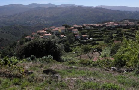 Soajo