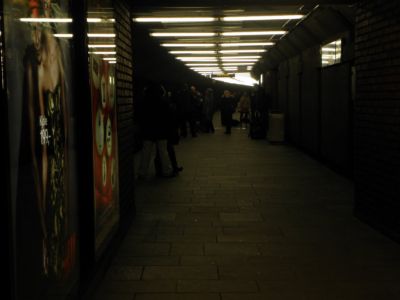 Tøyen