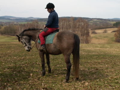 Štěpi