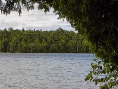 Cyprus Lake