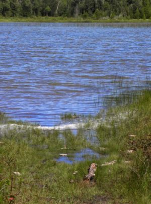 Horse lake