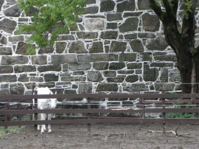 pevnost