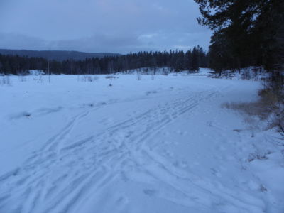 our last walk around Sognsvann....