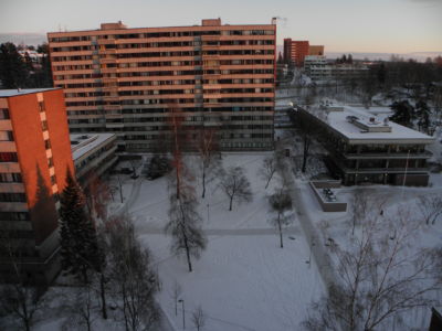 Kringsjå