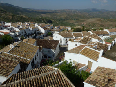 Zahara