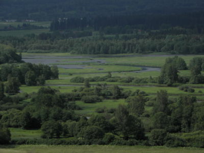 meandry Vltavy