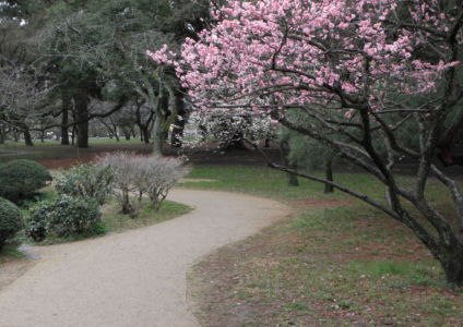 císařská zahrada v Kyoto