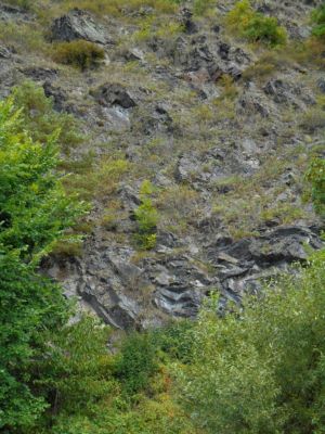 29-DSCN0265