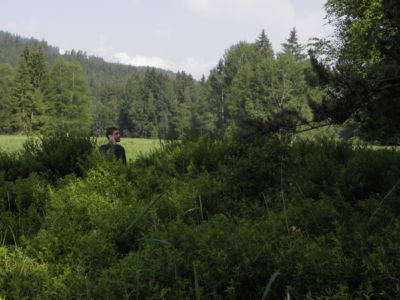 lokalita