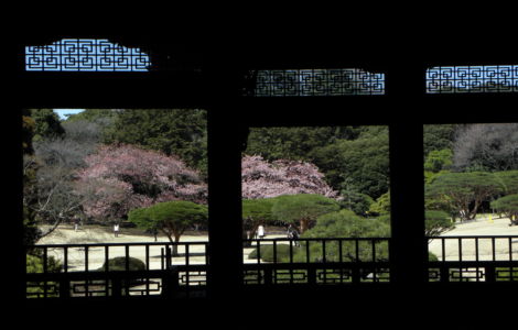 národní zahrada Gyoen (Shinjuku)