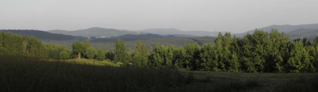 šumavské hvozdy